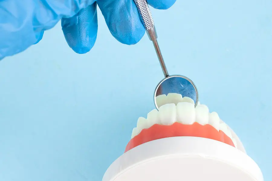 Why Are Teeth Important For Our Overall Health?